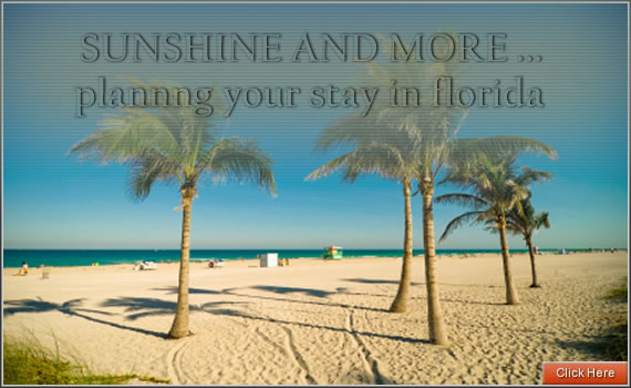 Florida Travel Guides
